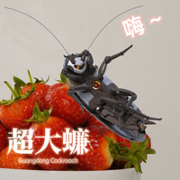 RB-P-02 Guangdong Cockroach (Cantonese Heavy Utility Vehicles) Model Kit