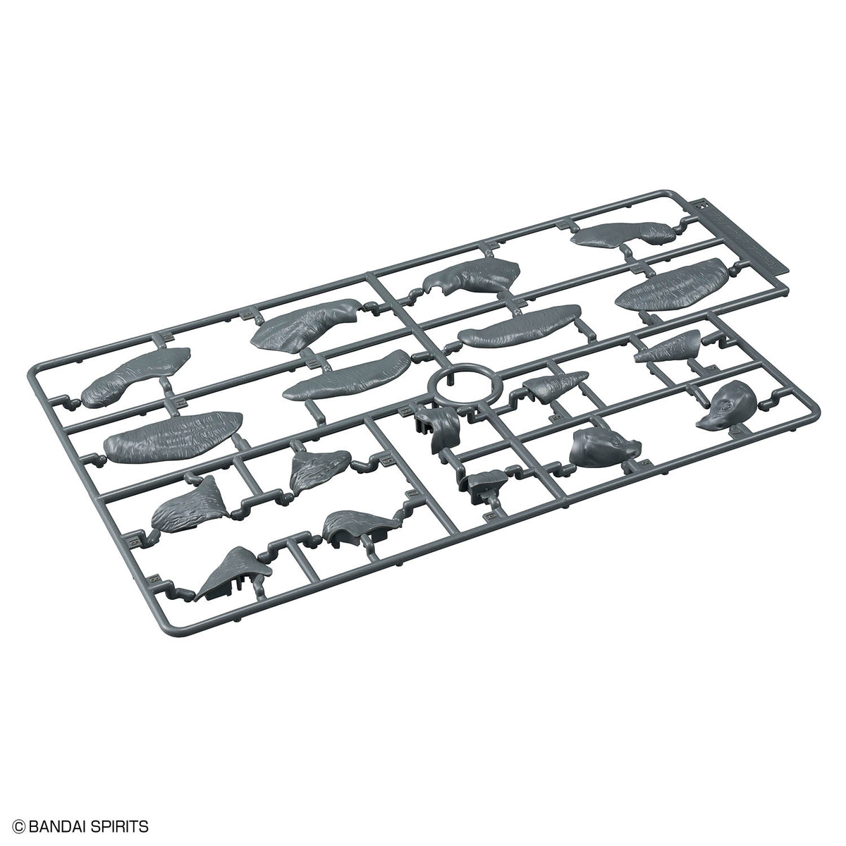 Plannosaurus Archelon Model Kit