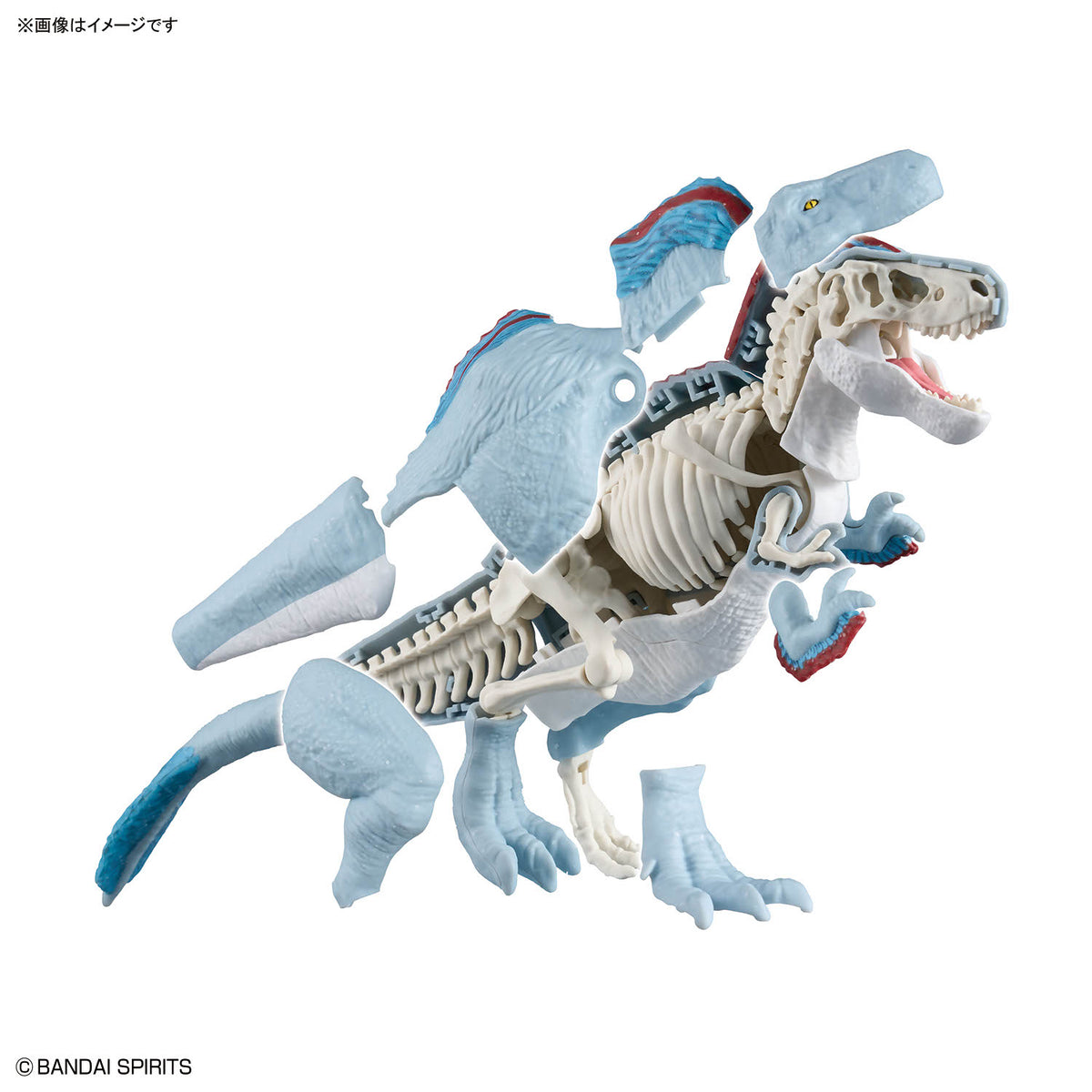 Plannosaurus Tyrannosaurus (Snowfall Area Ver.) Model Kit
