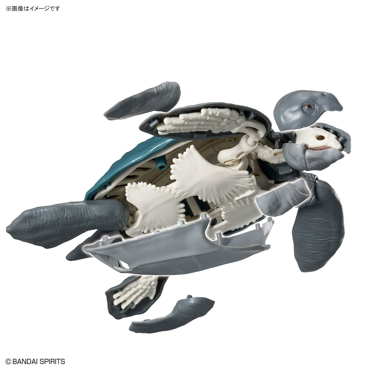 Plannosaurus Archelon Model Kit