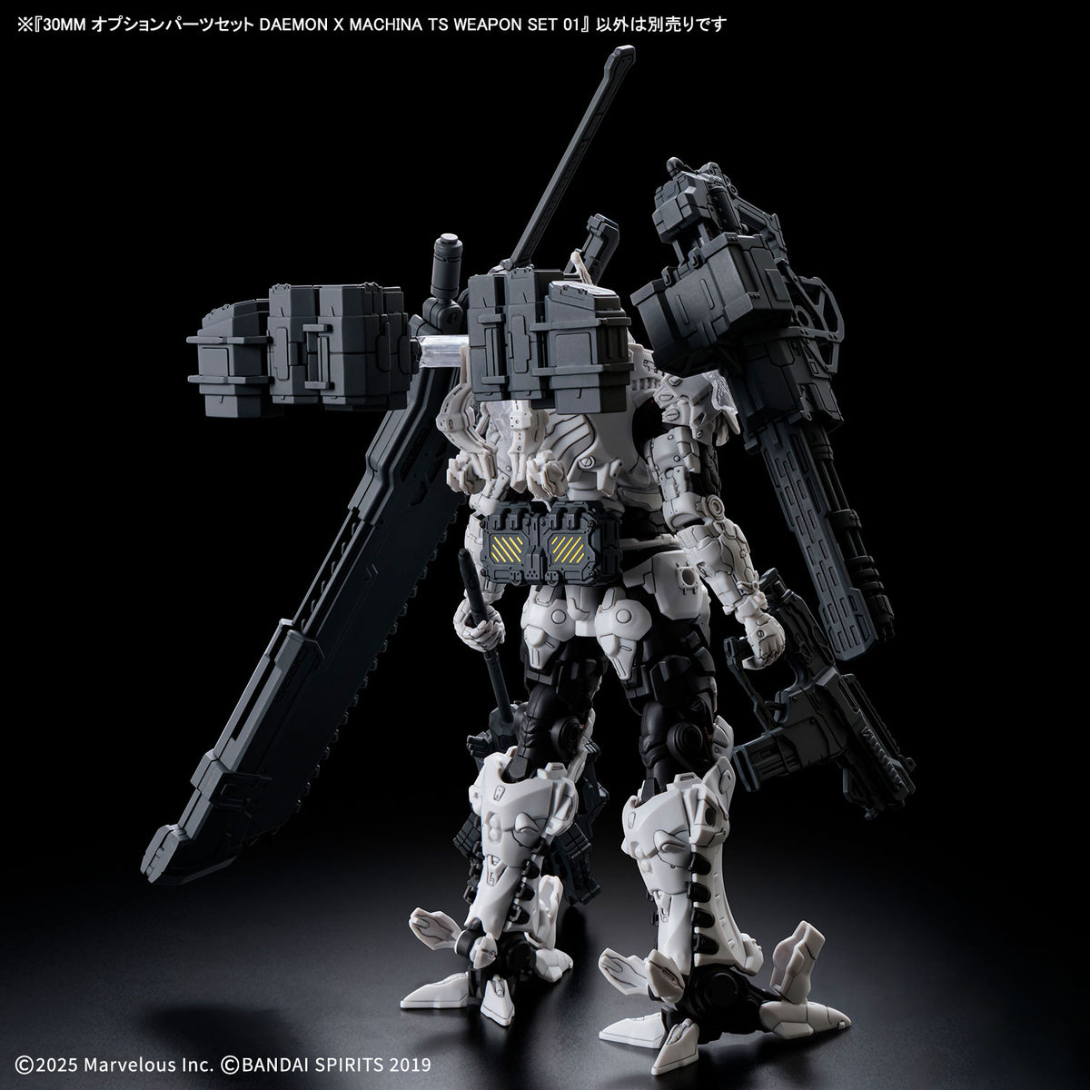 Daemon X Machina Titanic Scion 30 Minutes Missions TS Weapon Set 01 Option Parts Set
