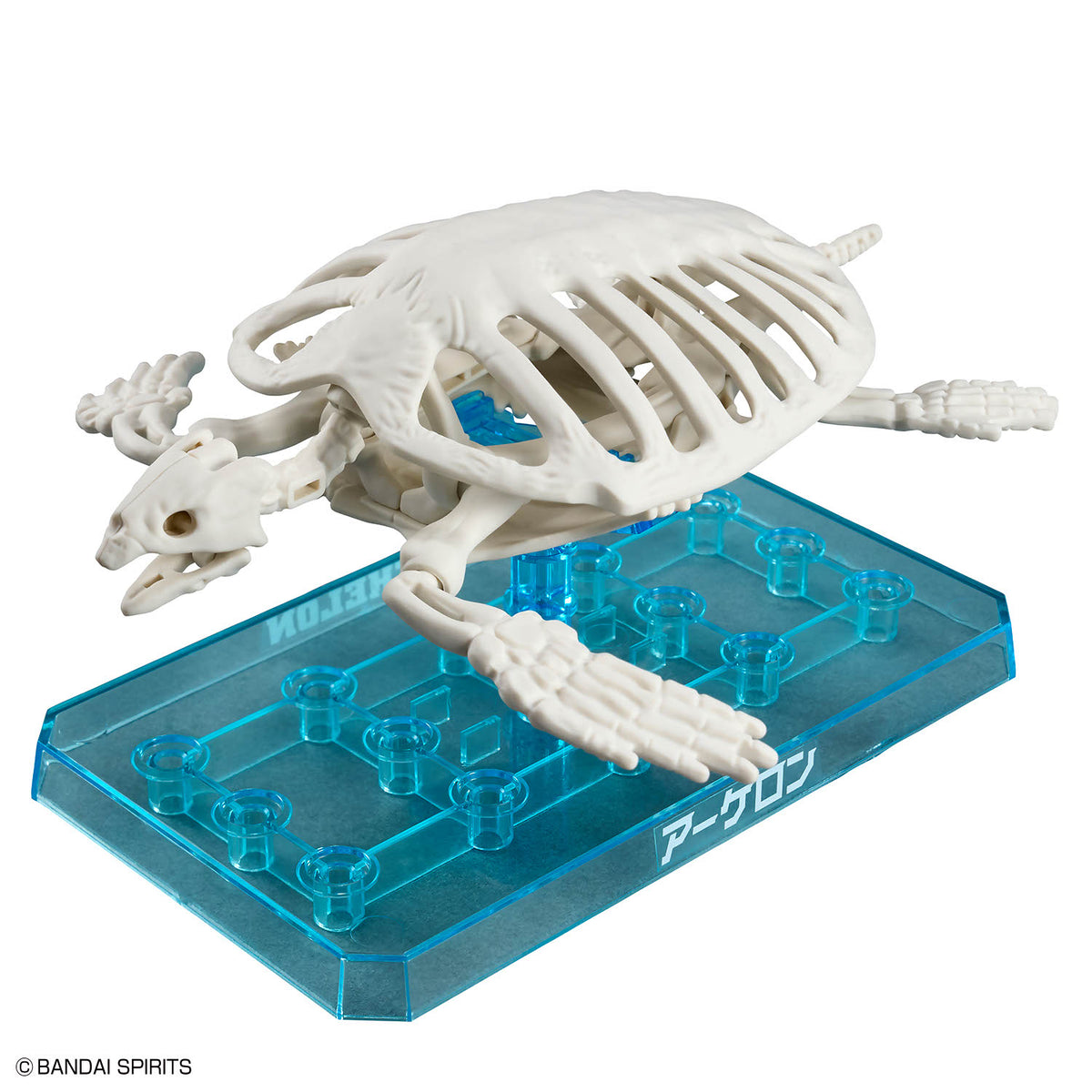 Plannosaurus Archelon Model Kit