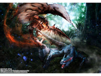 Monster Hunter S.H.MonsterArts Rathalos