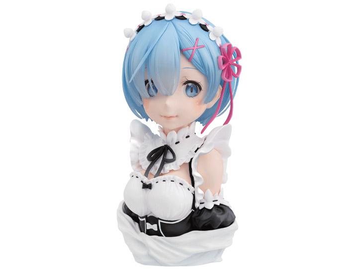 Re:Zero Starting Life in Another World Ichibansho Rem (Story To Be Continued)