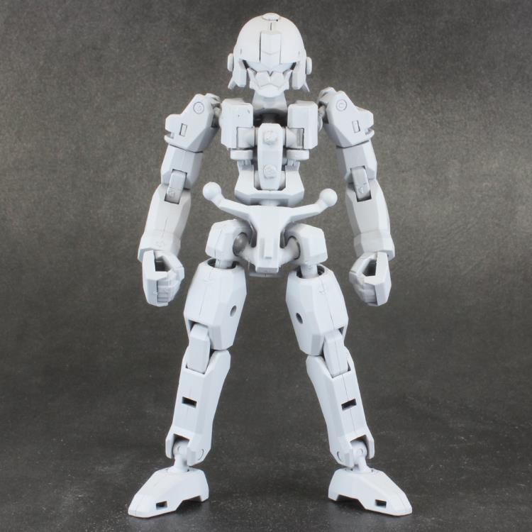 PLA-ACT Option Series 06 Frame Unit Model Kit