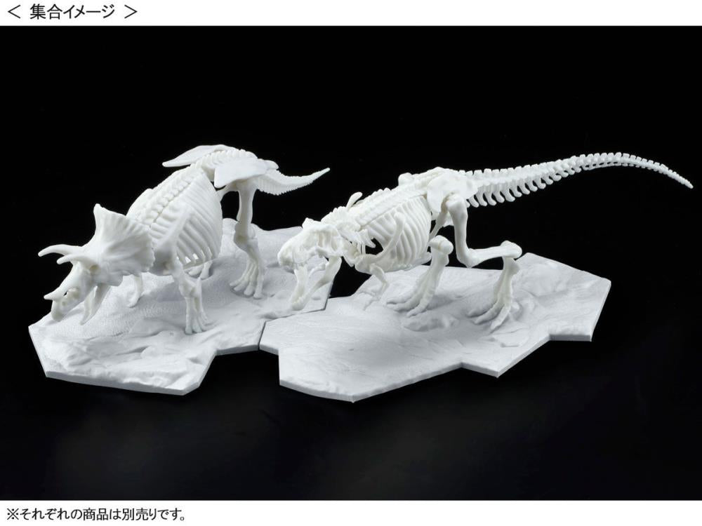 Limex Dinosaur Skeleton Tyrannosaurus Rex Model Kit