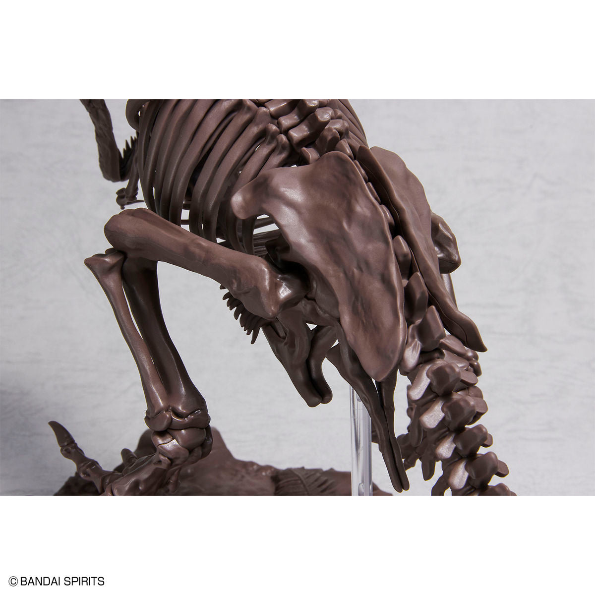 Imaginary Skeleton Tyrannosaurus 1/32 Scale Model Kit
