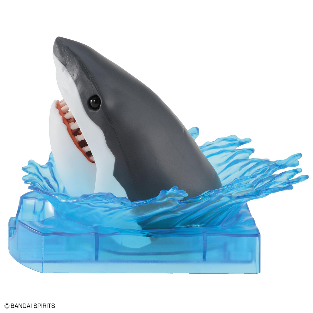 Exploring Lab Nature Shark Model Kit