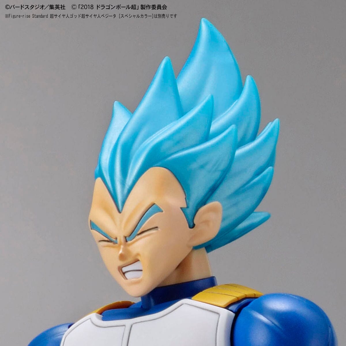 Dragon Ball Super Figure-rise Standard Super Saiyan Broly (Full Power) Model Kit