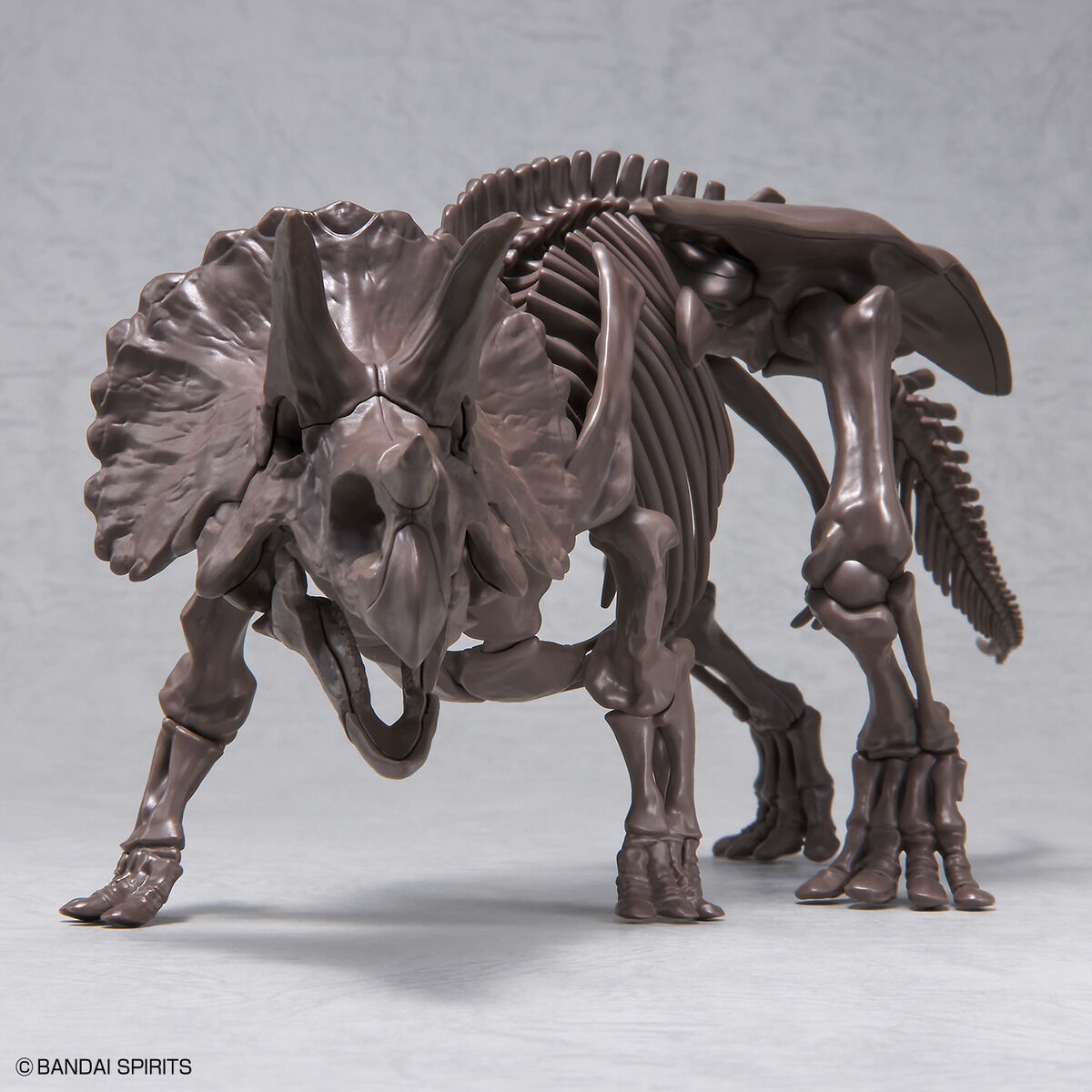 Imaginary Skeleton Triceratops 1/32 Scale
