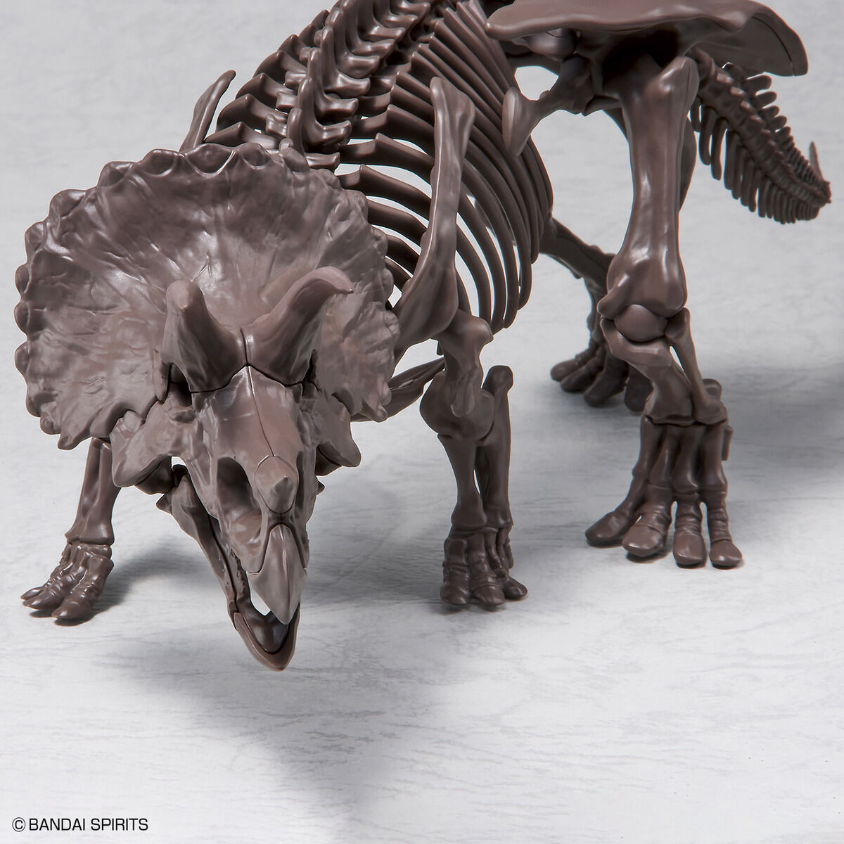 Imaginary Skeleton Triceratops 1/32 Scale