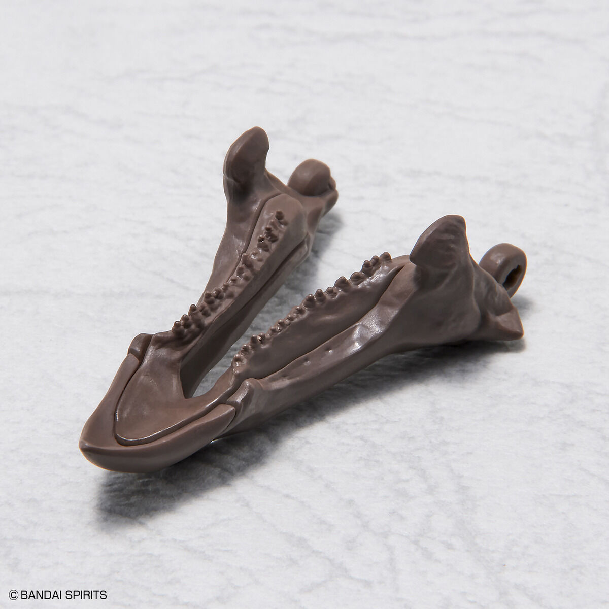 Imaginary Skeleton Triceratops 1/32 Scale