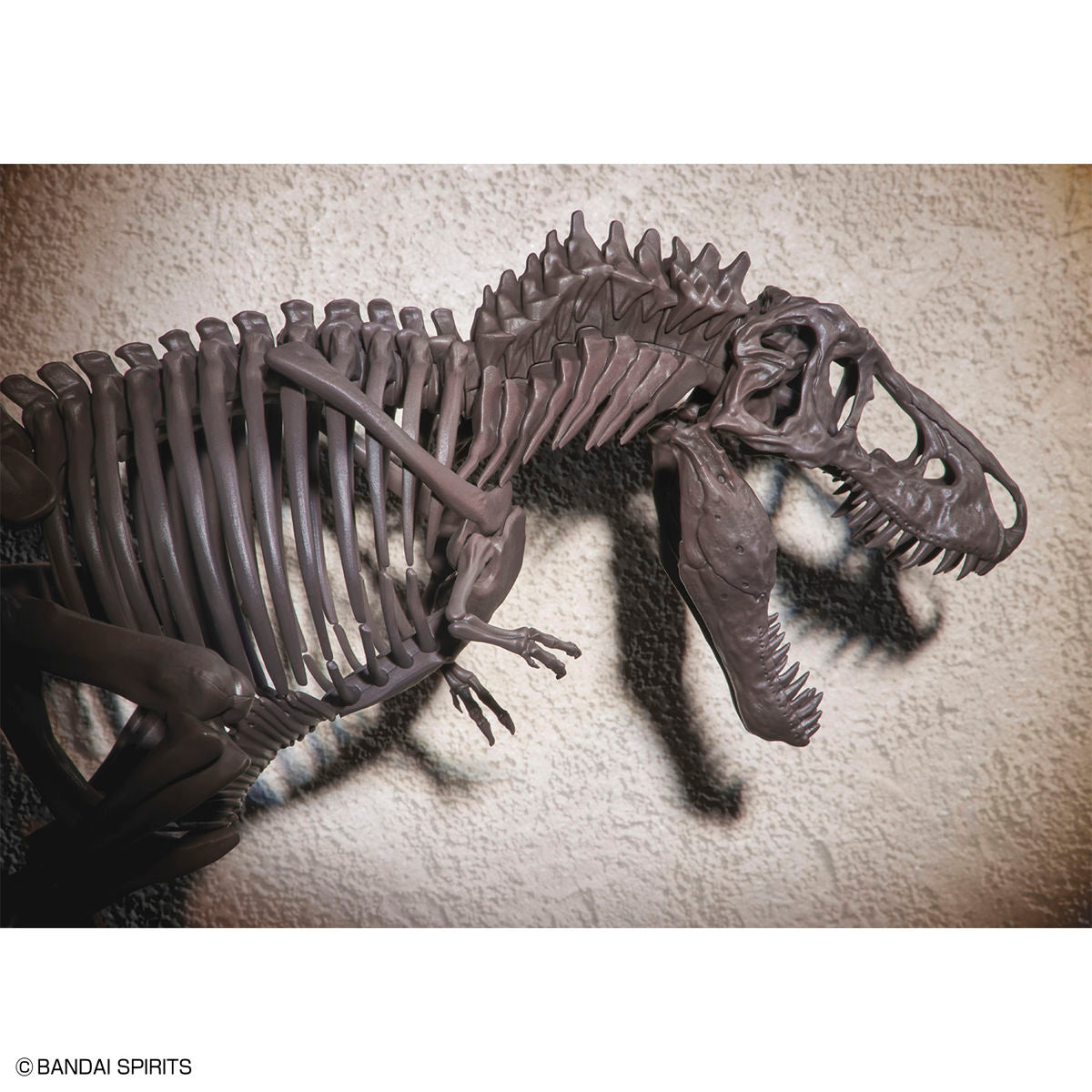 Imaginary Skeleton Tyrannosaurus 1/32 Scale Model Kit