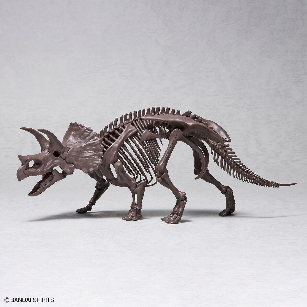 Imaginary Skeleton Triceratops 1/32 Scale
