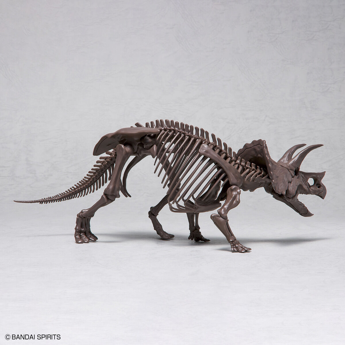 Imaginary Skeleton Triceratops 1/32 Scale