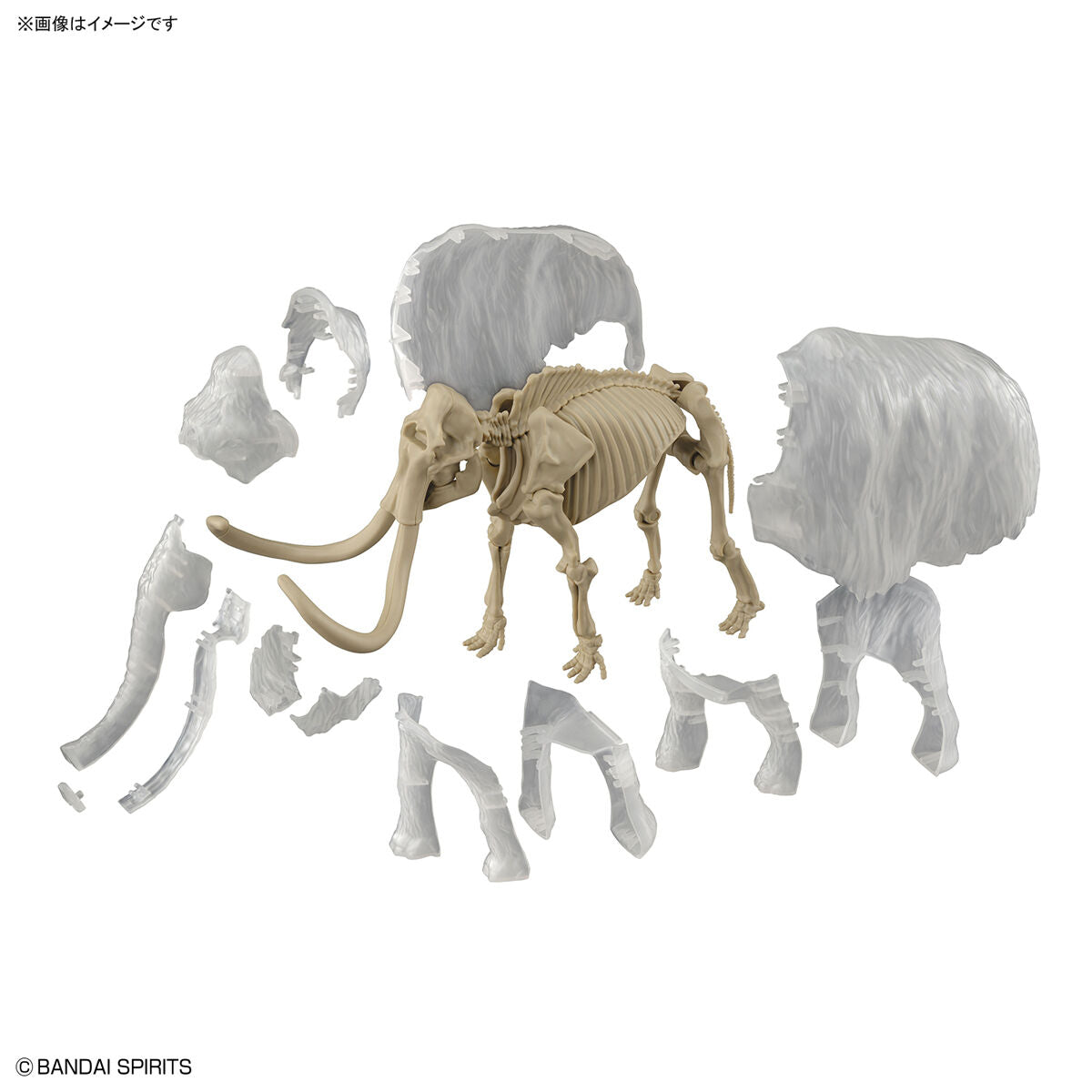 Exploring Lab Nature Mammoth Color Changing Model Kit