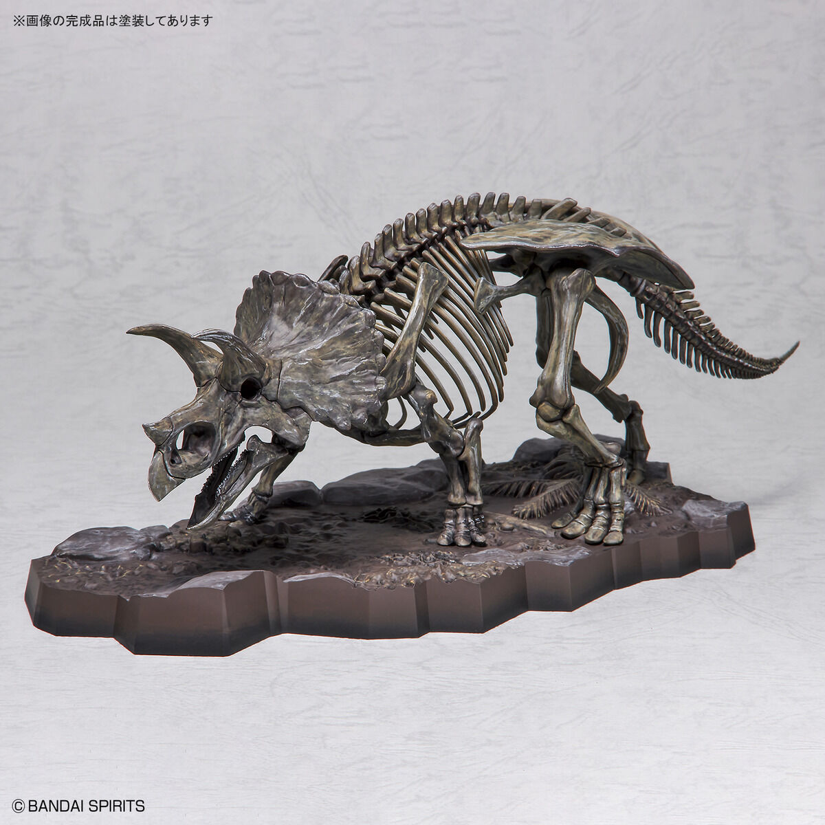 Imaginary Skeleton Triceratops 1/32 Scale