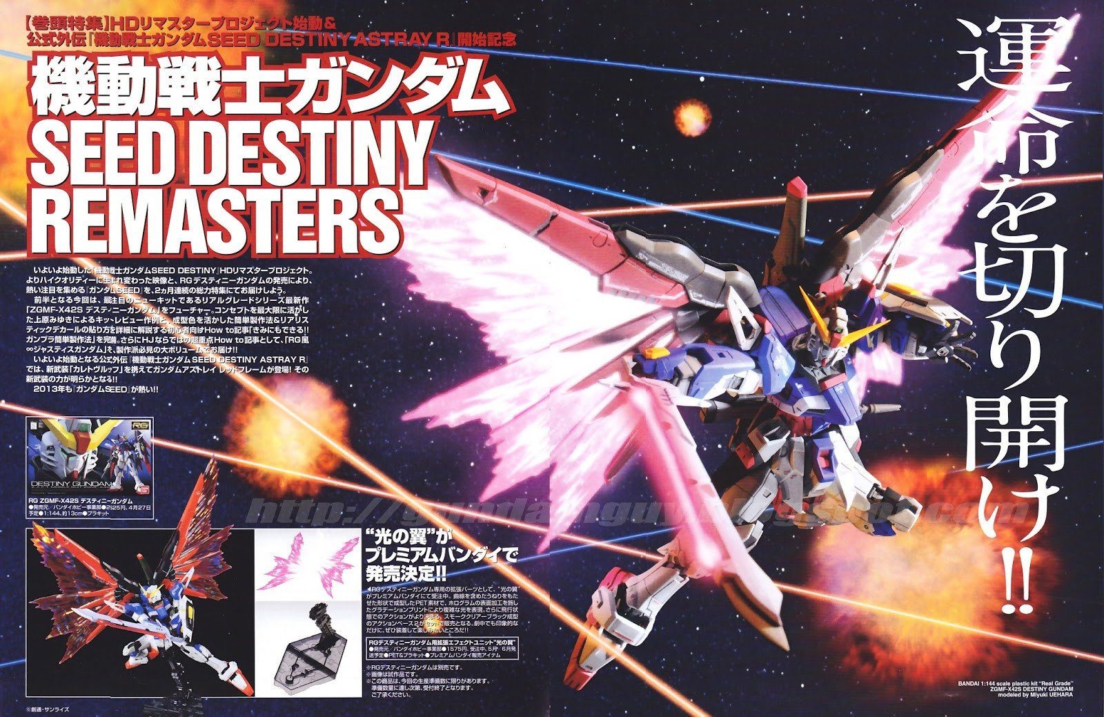 Rg destiny wings of light 1/144
