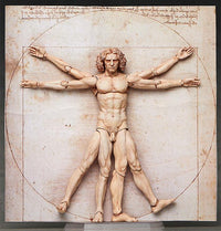 The Table Museum figma SP-075 Vitruvian Man