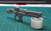 W002 All purpose assault rifle 1/100