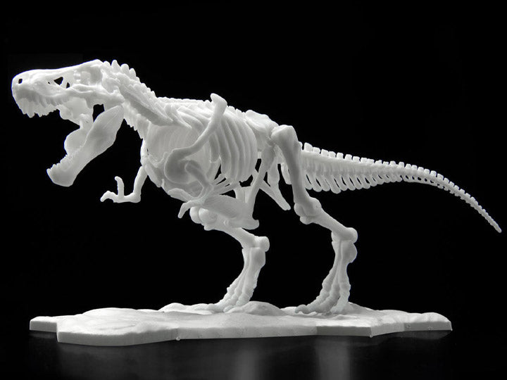 Limex Dinosaur Skeleton Tyrannosaurus Rex Model Kit