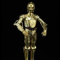 Star Wars C-3PO & R2-D2 1/12 Scale Model Kit