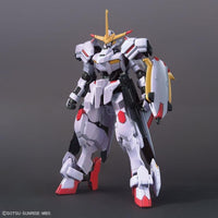 HG-IBO 1/144 #41 Gundam Hajiroboshi