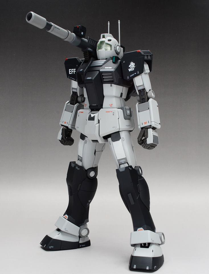 1/100 Gm Cannon Revived