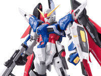 RG 1/144 #11 Destiny Gundam