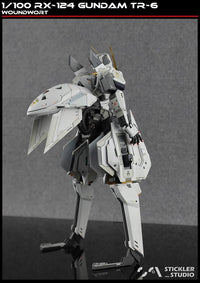 GK TR6 1/100 RX-124 TR-6 Woundwort Resin kit