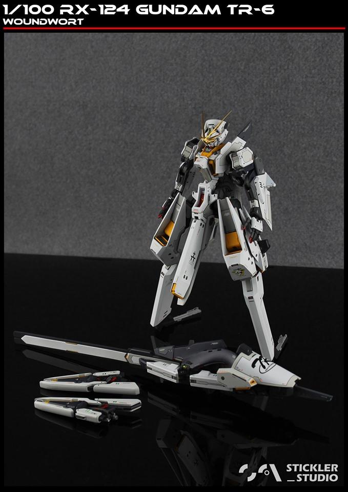 GK TR6 1/100 RX-124 TR-6 Woundwort Resin kit