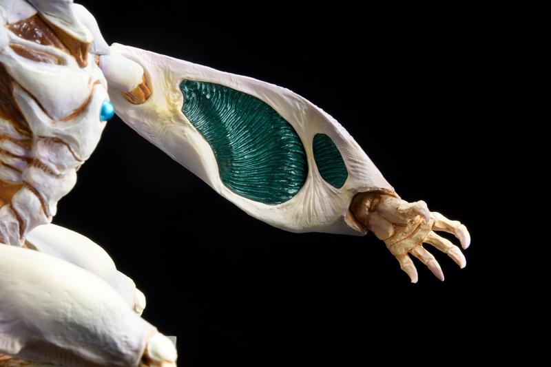 Betterman Nebula Concept Model Figure