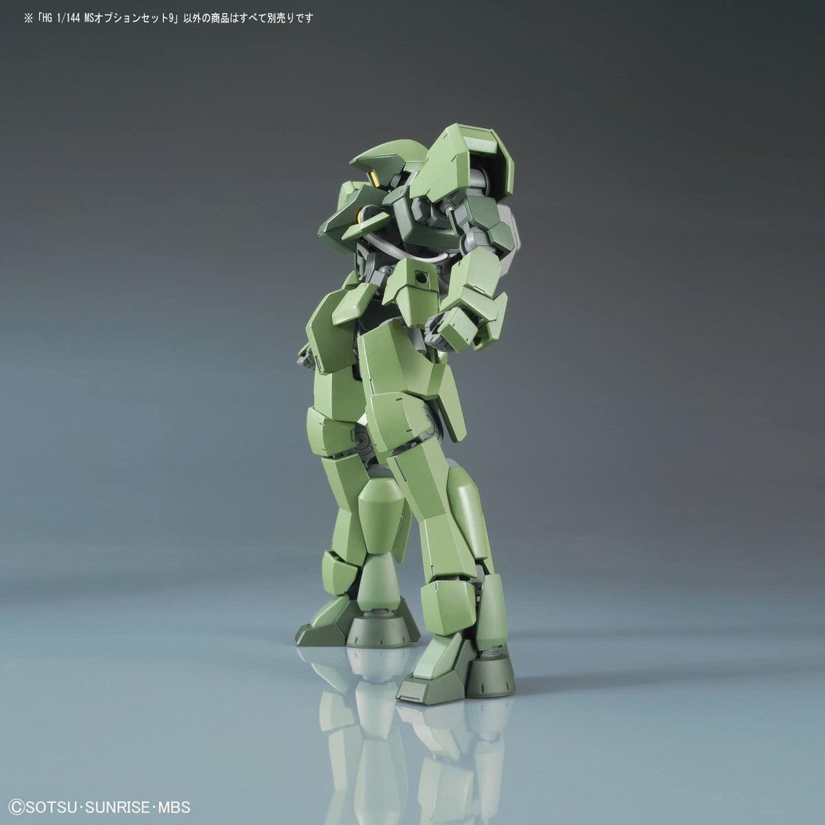 HG-IBO MS Option Set 9