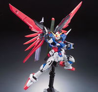 RG 1/144 #11 Destiny Gundam
