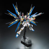 RG 1/144 #14 Strike Freedom Gundam