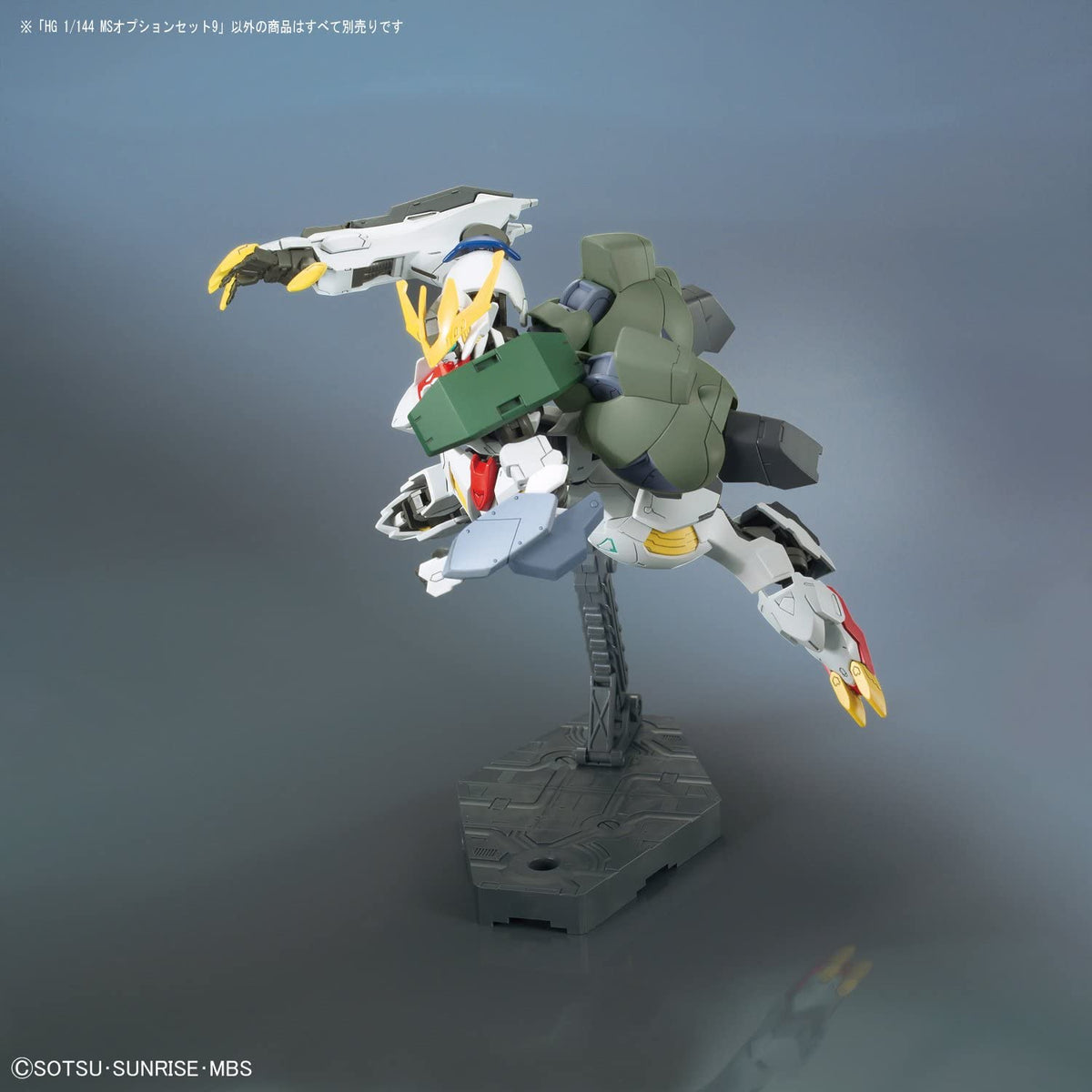 HG-IBO MS Option Set 9