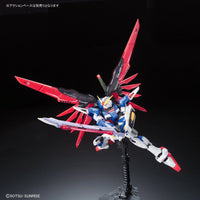 RG 1/144 #11 Destiny Gundam