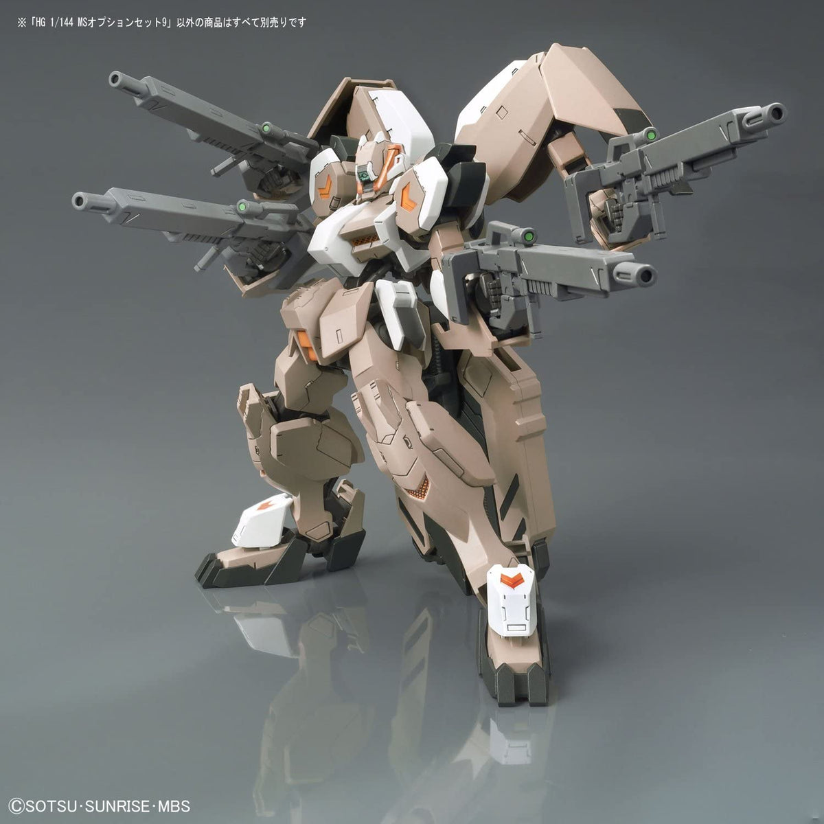 HG-IBO MS Option Set 9