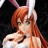 Code Geass: Lelouch of the Rebellion Shirley Fenette (Bunny Ver.) 1/4 Scale Figure