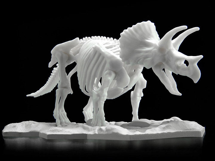 Limex Dinosaur Skeleton Triceratops Model Kit