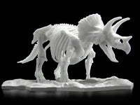 Limex Dinosaur Skeleton Triceratops Model Kit