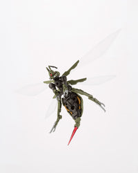 Hexa Gear Alternative Messer Float 1/24 Scale Model Kit