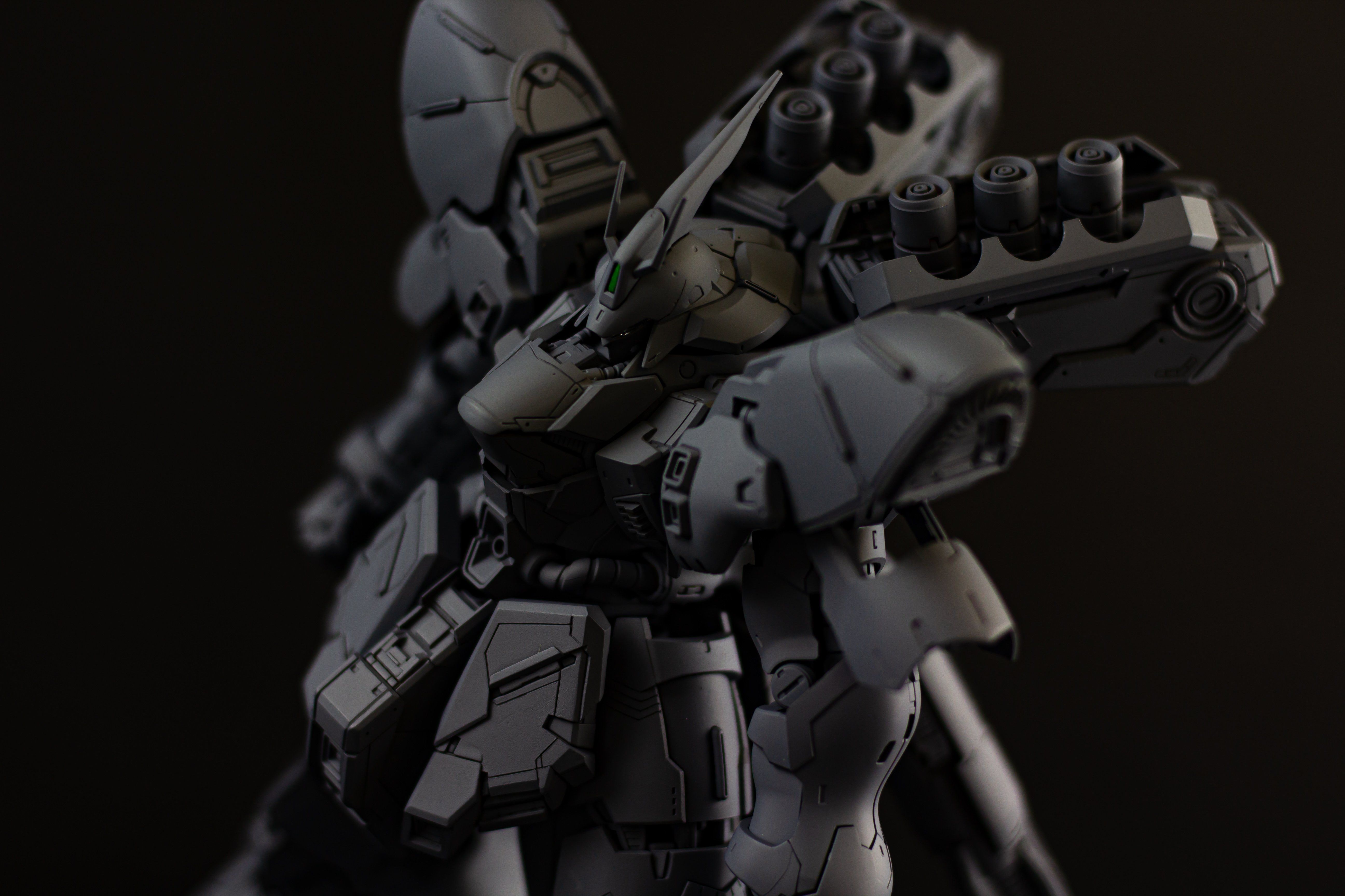 SIMP RESIN RG Sazabi Dress up kit