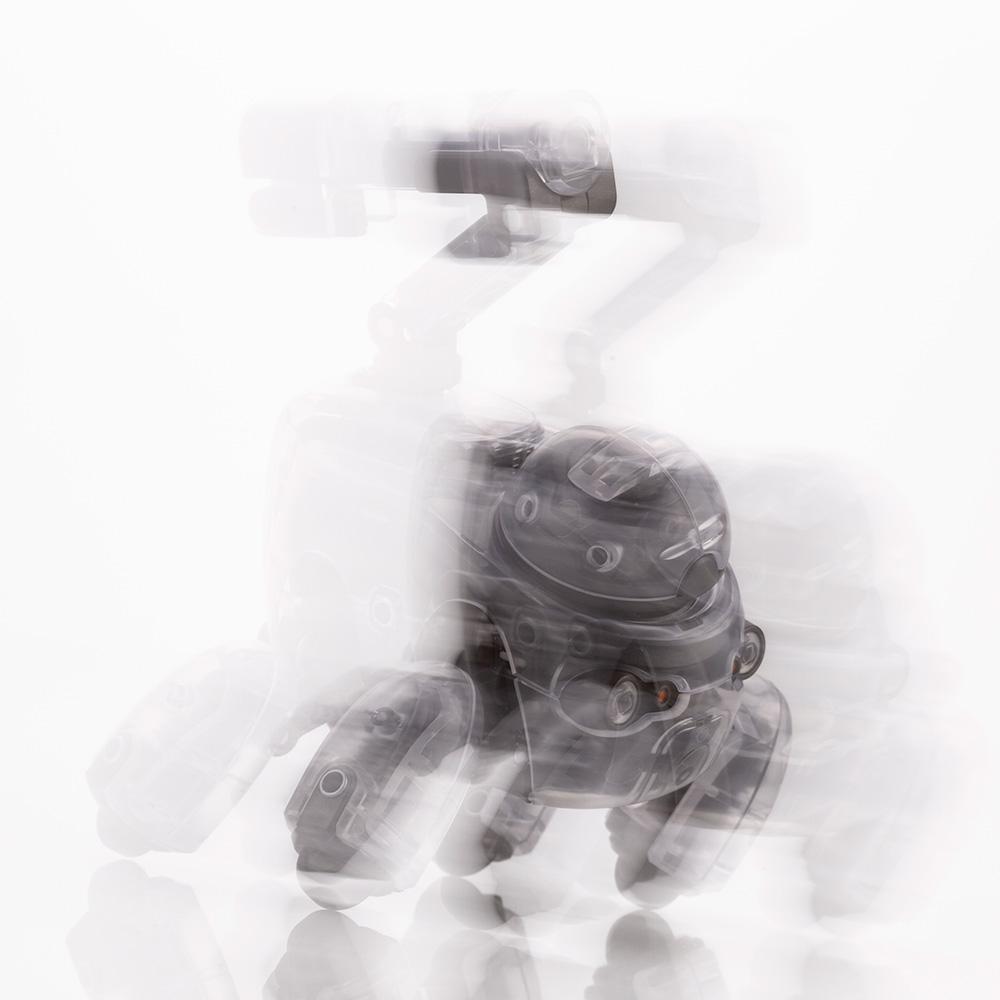 Maruttoys Tamotu (Skeleton Ver.) 1/12 Scale Model Kit