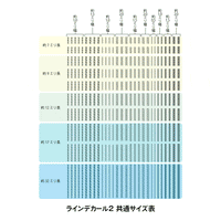 Line Decal 2 Silver(1pc)