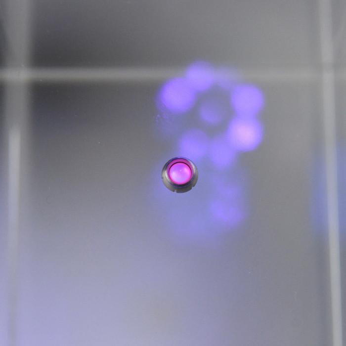 Rumidomu L fluorescent pink (8 pcs)