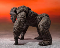 Godzilla vs. Kong (2021) S.H.MonsterArts Kong
