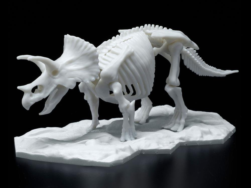 Limex Dinosaur Skeleton Triceratops Model Kit