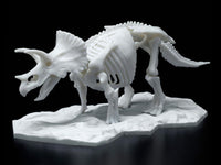 Limex Dinosaur Skeleton Triceratops Model Kit