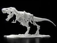 Limex Dinosaur Skeleton Tyrannosaurus Rex Model Kit